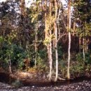 버스정류장 06-160 이미지