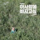 아사랑 이미지