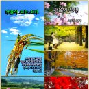 05)1. 莊子장자 內篇내편 第05篇 德充符덕충부(第1章)/노벨평화상,트럼프 킹메이커,美 구금 한국인 석방,생명체 흔적,자체 핵 이미지