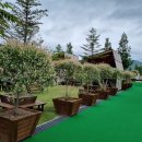 버드글램핑 이미지