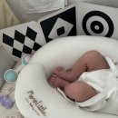 바이러스 | 신생아 RSV 바이러스 예방접종 후기: 비용 및 증상 전염