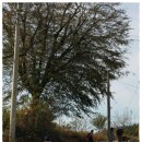 달나무농장 이미지