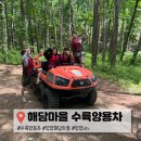양양 액티비티 해담마을 수육양용차 후기