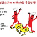 타워짐피트니스헬스 이미지