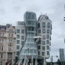 로저스하우스 (Rodger's House) | 체코 프라하 (Praha) 명소들