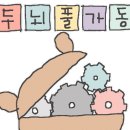 월드DSC 이미지