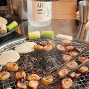 막창선생 | 대구 여행 맛집 추천 ㅣ 대구 중앙로역 근처 맛집 유원지 막창