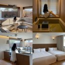 스테이오캄 이미지