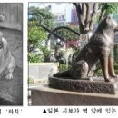 하치 이미지