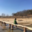 제임스킴 네이버블로그