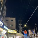 [주문진회센타 / 카페덩어리] 자바리(자금바리,다금바리)먹고 후식 옥수수아이스크림까지