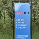 러닝크루