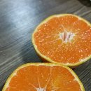 이혁농장 이미지