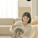 송하동물병원 이미지