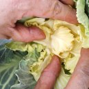 가영농장 이미지