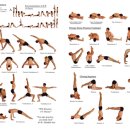 아쉬탕가 요가 이미지