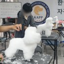 희망애견미용샵 네이버블로그