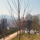 와우산배수지
