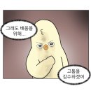 한국교원대학교 대학원 이미지