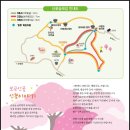 산꽃벚꽃마을 오토캠핑장 이미지