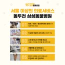 화천동물병원 이미지