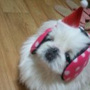 옹기종기 이미지