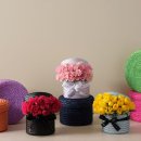 명품호텔시그니처 이미지