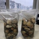 집밥 레시피 왕바지락 문어바지락으로 바지락 술찜만들기