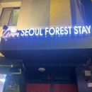 서울숲역 게스트하우스(서울숲 스테이) 방문후기