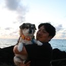 한림읍 월령리마을 | 제주 일몰 명소 월령리 선인장 군락지 주차장 있음 애견동반 O