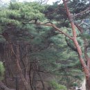 블루베리마을 이미지