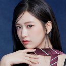 포포 이미지