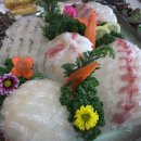 주문진회집 이미지