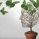 효자한의원 이미지