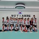 부산TIA태권도 네이버블로그