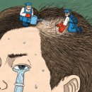 &#34;두피에 바르면 머리가 쑥쑥&#34; 30년 만에 등장한 &#39;탈모 신약&#39; 이미지