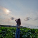 고구낚시터 이미지