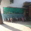 호성자전거 이미지