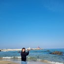 핑핑와