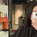 도쿄일상 | [도쿄일상] 일본에서 붙임머리 한 후기