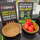 늘열린약국 | 베지핏 타임스퀘어팝업 야채영양제
