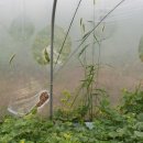 해순농장 이미지