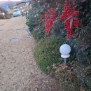 둥지 펜션 | 경주펜션 경주여행 제대로 즐기기 좋은둥지가족펜션 후기