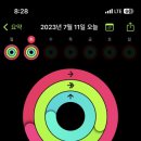 코코클럽