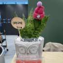 옥길스타스크린골프 이미지