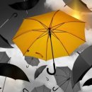 점프코리아 이미지