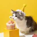 애니콩 주식회사 농업회사법인 이미지