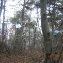 창평약국 이미지