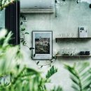 고사리맨션이 이미지