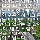 월드홍익선원 이미지